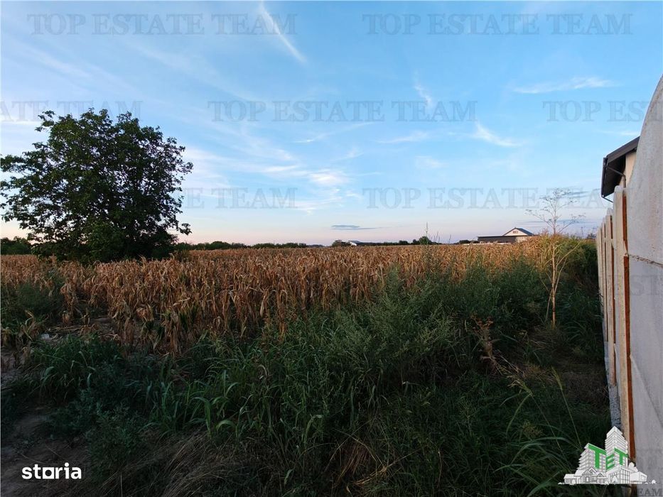 Teren intravilan pentru constructii stradal, 2965 mp, cu toate utilita