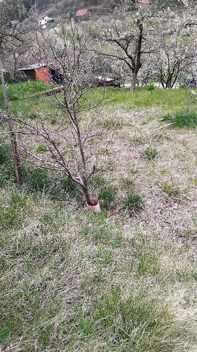 Продава се Къща в с. Кременик, Област Кюстендил - 25 кв.м за 857 €/кв.м - Снимка #6