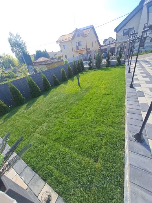 Gazon rulou și plante ornamentale