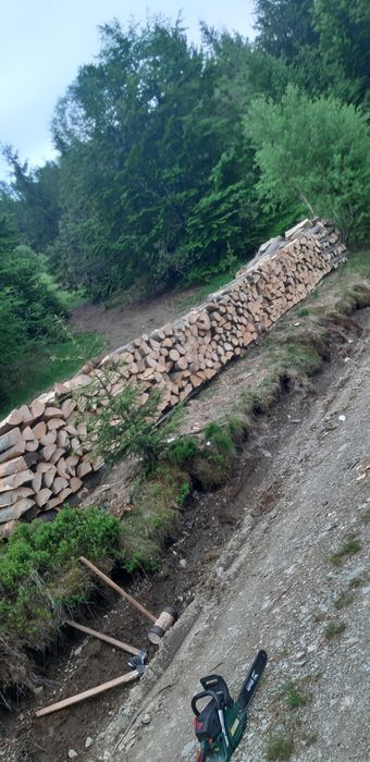 Lemne de fag uscate sau verzi