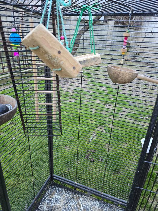 Клетка за птици или Папагали.