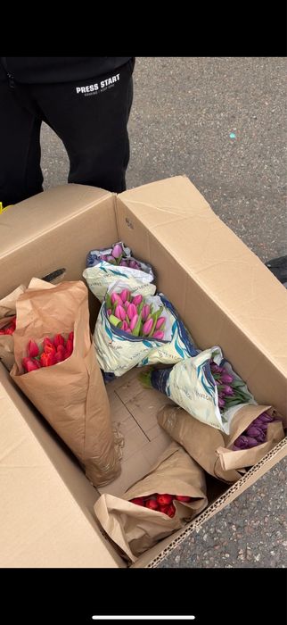 продаю цветы тюльпаны