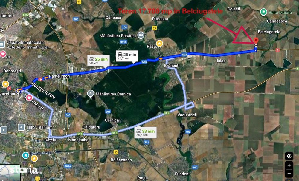 Teren intravilan Belciugatele*300 m de DN*Linie de tensiune medie*Plat