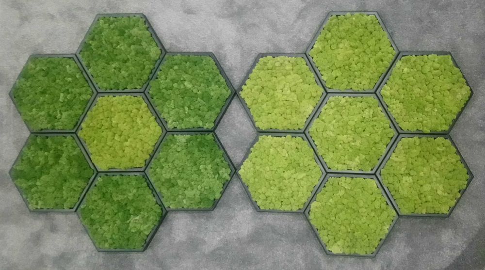 Уникални картини от естествен мъх! Декорация,арт,модерно,свежо,подарък