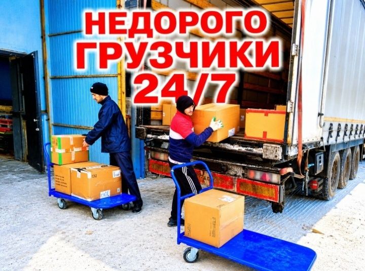 Услуги грузчики от 3000