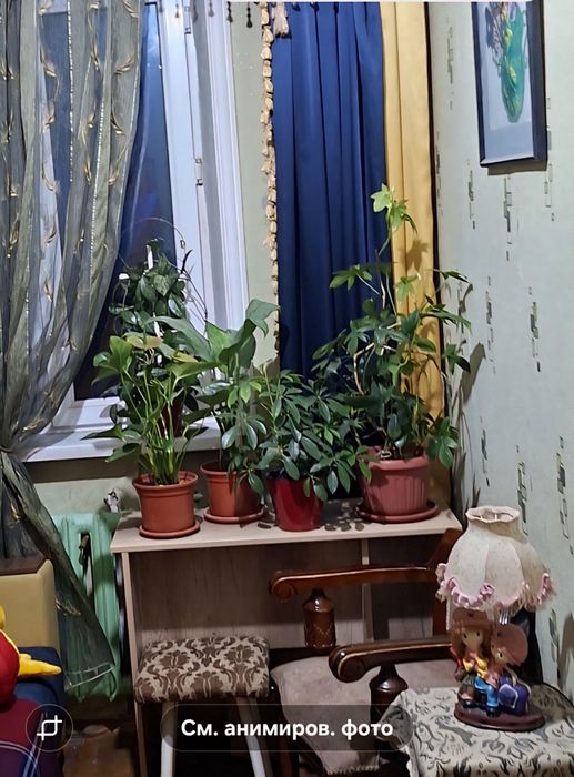 Сдаётся одна комната в 3-х комнатной квартире с хозяйкой.ЦЕНТР, Дархан