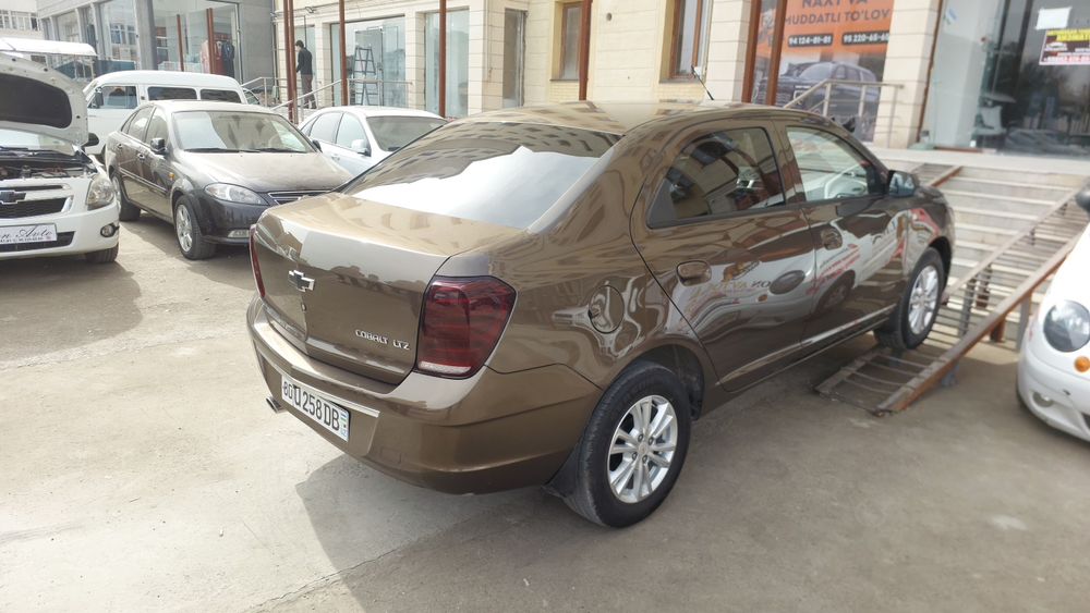 Kobelt stayl yangi moshin yilli 2023/24