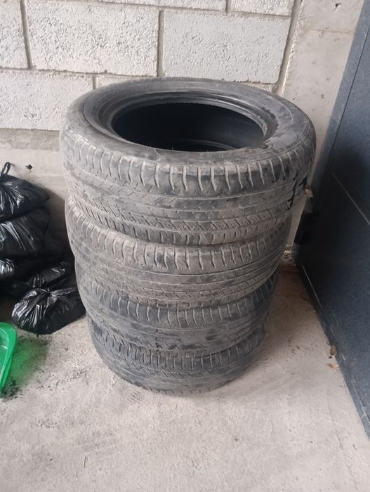 Kobiltdan yechilgan balon orta xolatda balon