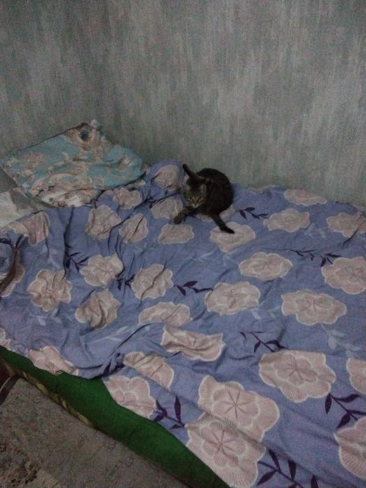 Продам дачу, дача летний вариант