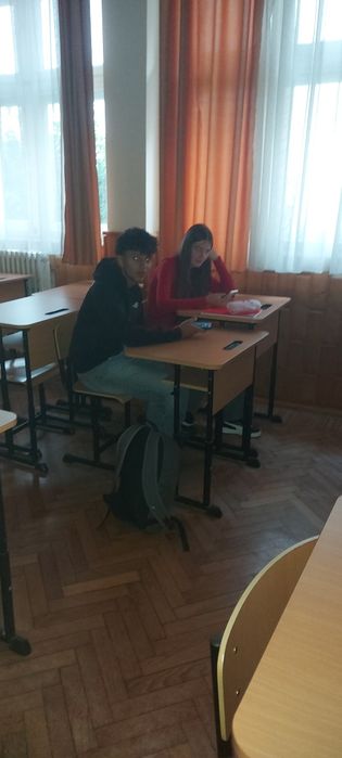 2 copii de vanzare