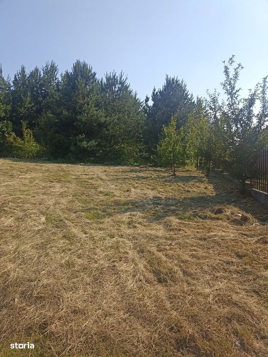 De vânzare teren intravilan în orasul Covasna