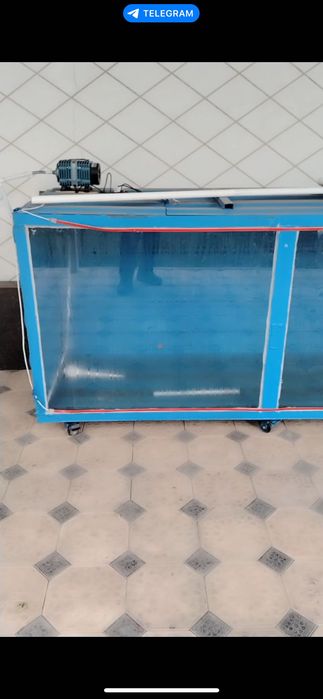 Аквариум для рыбы