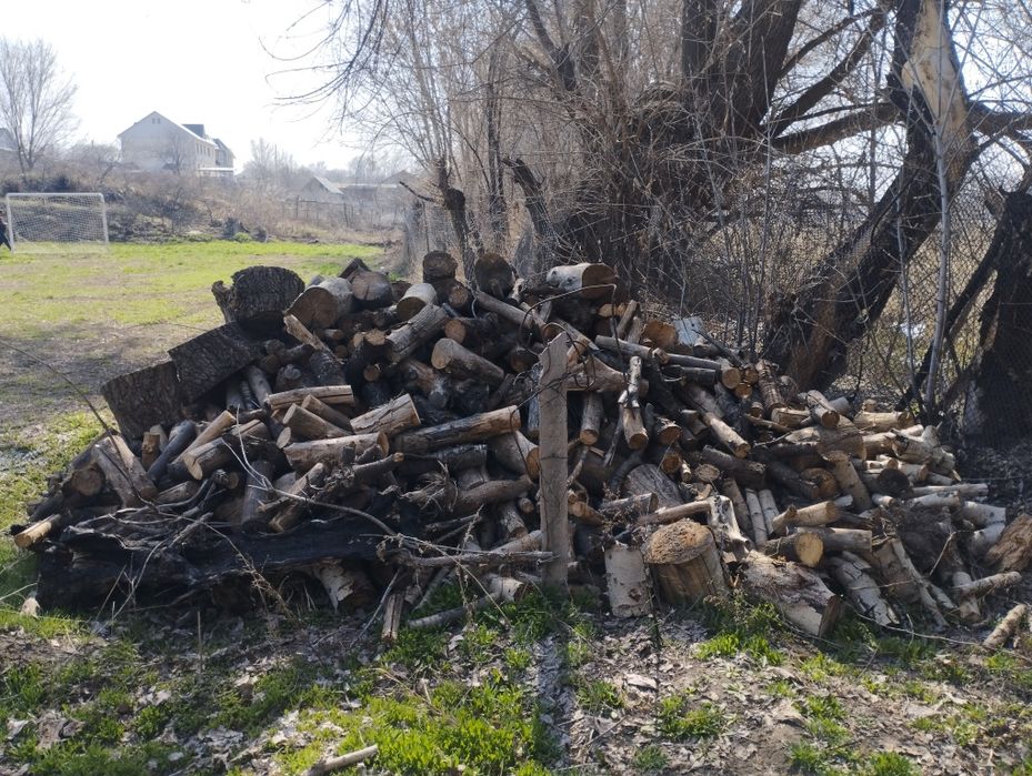 Дрова на продажу