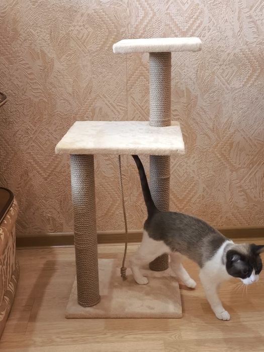 Когтеточка 80 сантиметров