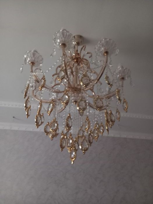 Лиустра сатылады