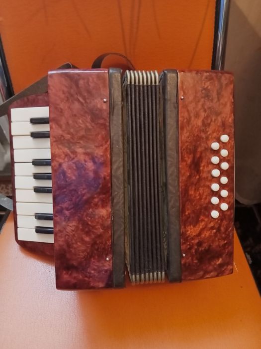 Аккордеон детский.сссо.