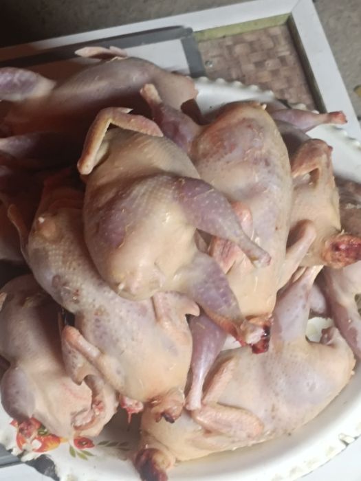 Мясо перепелинное.