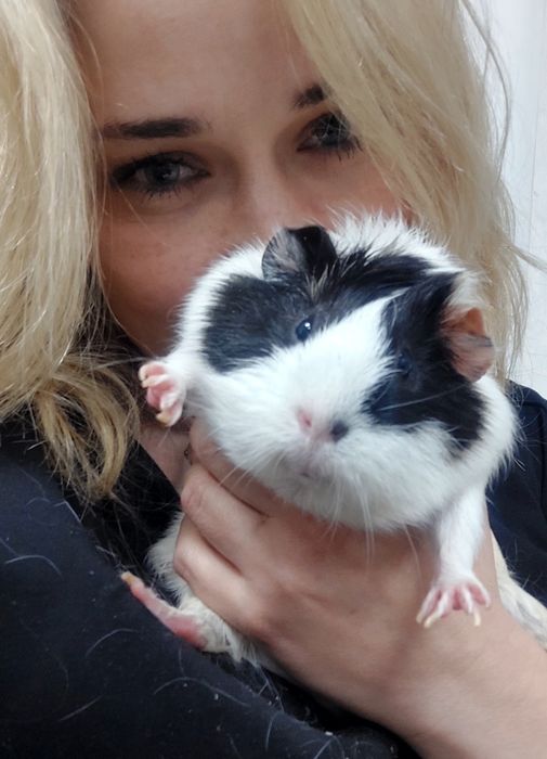 Ветеринар на выезд