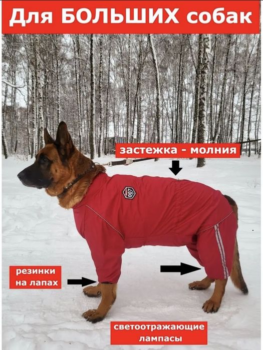 Комбез для собаки(унисекс)Темиртау.