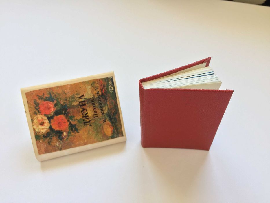 Джуна Поэзия и живопись Книга-миниатюра