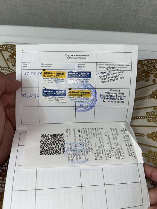 Продам щенка немецкой овчарки