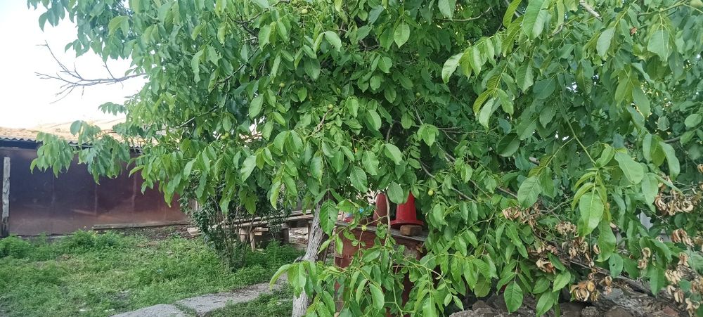 Уй сотилади 2 хона 3 соток Юкори Чирчик р-н (Ахмад Яссавий) 26000 у.е.