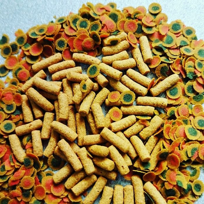 Рыбки в Афалине. Навои Торайгырова