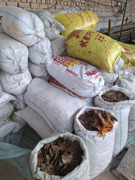 Семичка кунжола с