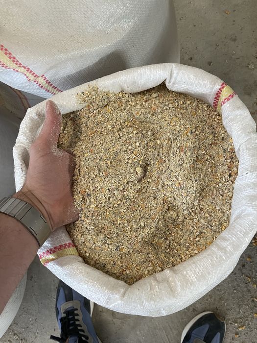 Lucerna, trifoi , iarba sudan , maturica,sorg, borceag,mei,rapita