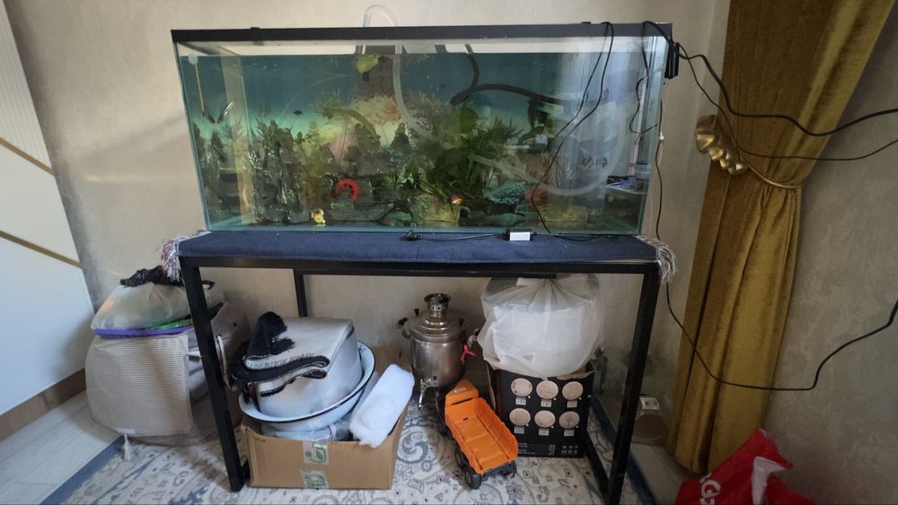 Аквариум 240.