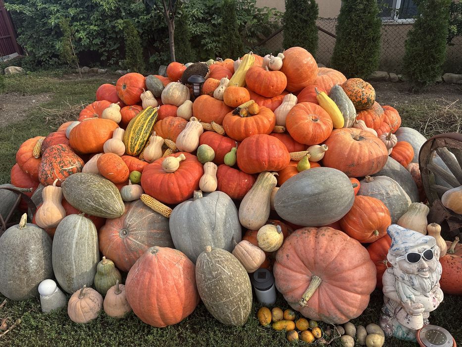Dovelci Halloween