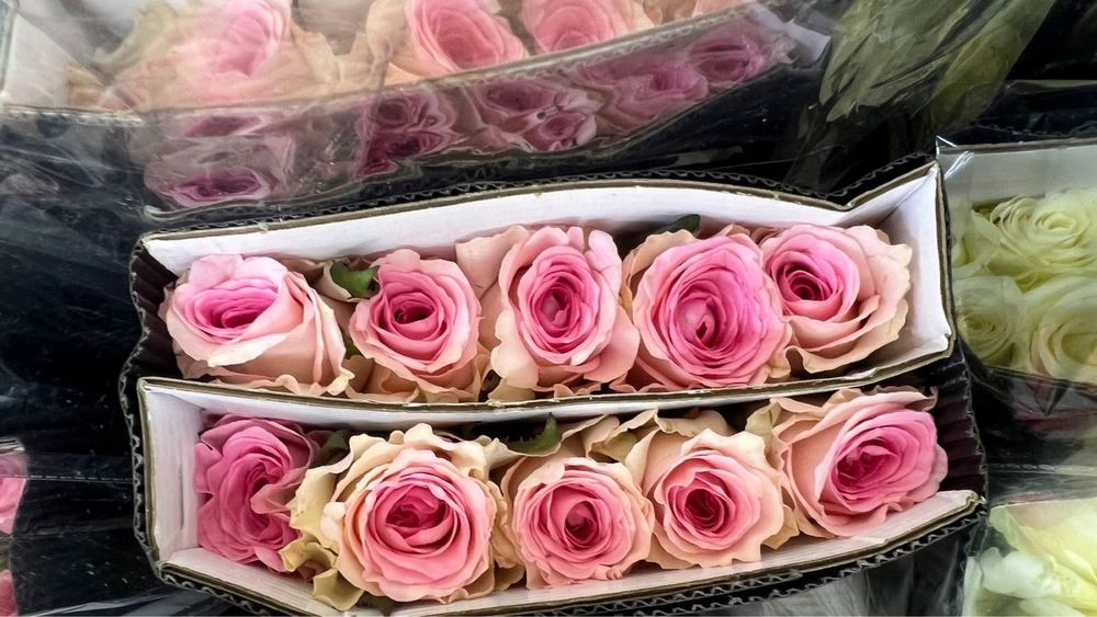 Розы оптом китай