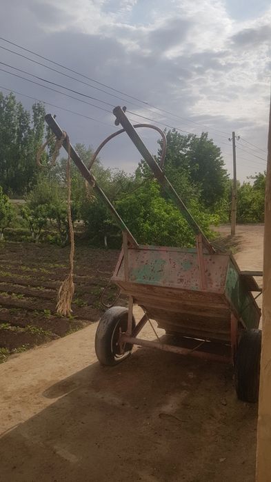 Eshak arava sifati yaxshi