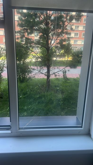 Стекло покеты замена