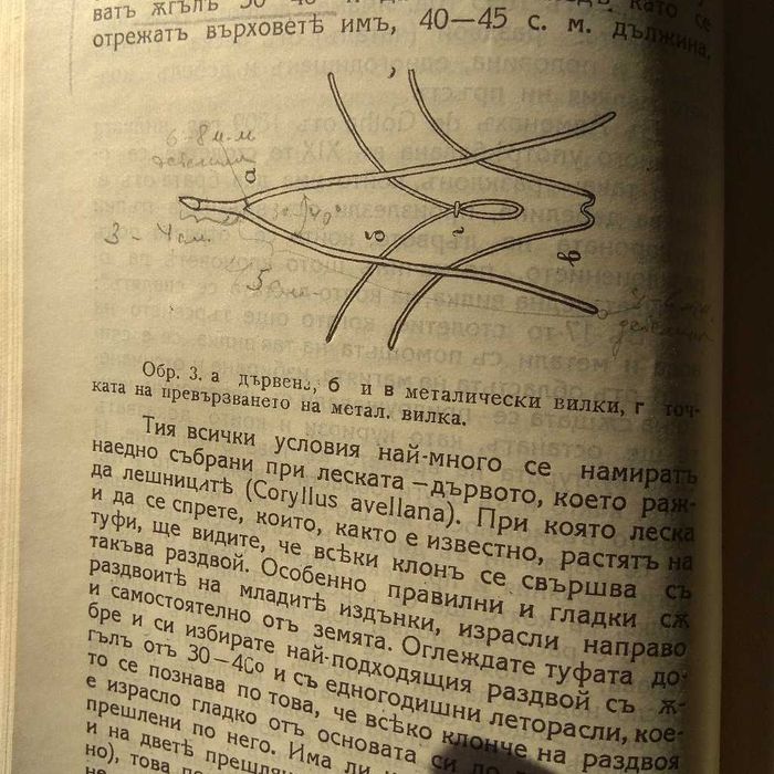 Как да намерим ВОДА И ЗЛАТО само с една пръчка