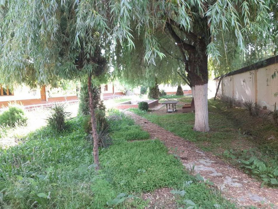 Choyxona bino-inshoatlari