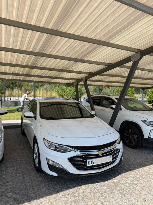 Malibu Premier  srochna