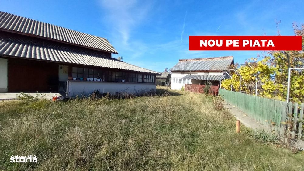 0% Comision!!! Casa Cu Lac In Inima Padurii  - Dealu Bradului