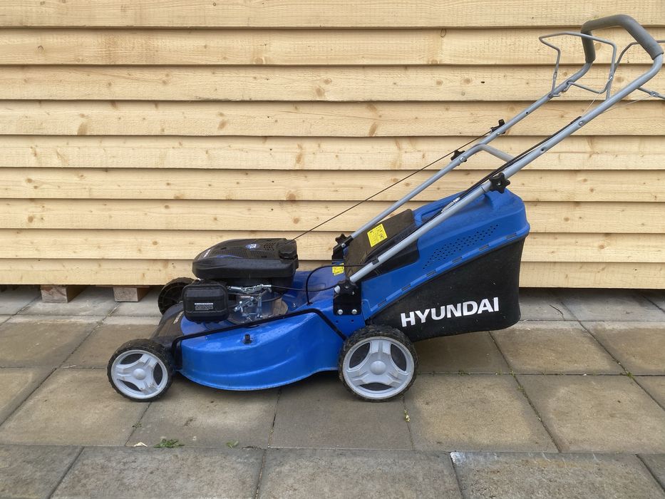 Косачка паркова