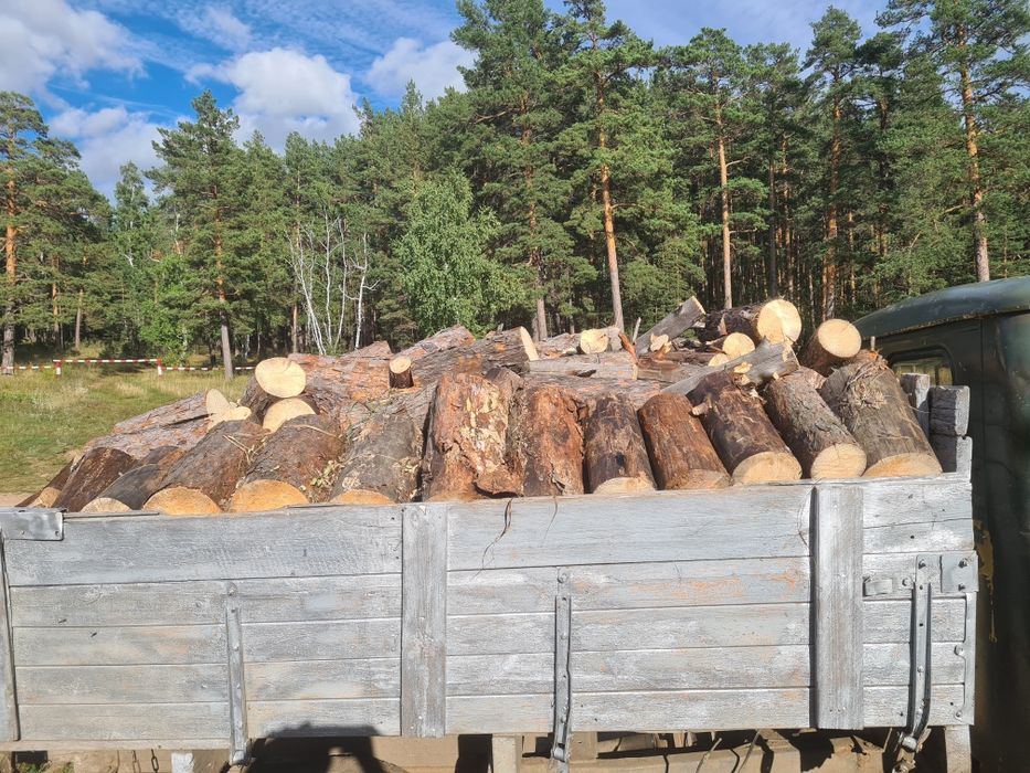 Продам  дрова. Сухая сосна чурками.