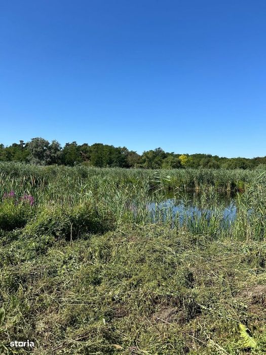 Teren cu deschidere la lac str Orhideelor-conectare imediata la curent