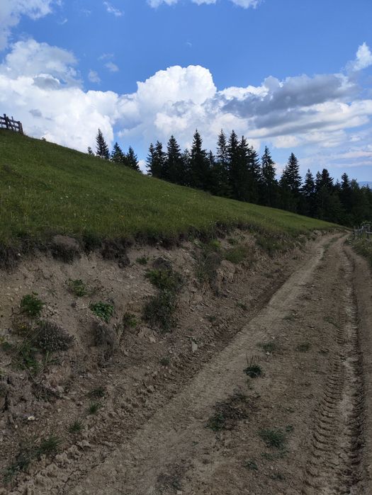 Teren de vanzare 1 ha – Perivata, Argel, com. Moldovița, Suceava