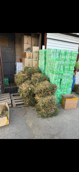 Адыраспан рынок жибек 79