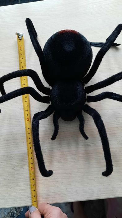 Новый.  Паук   на   пульте.