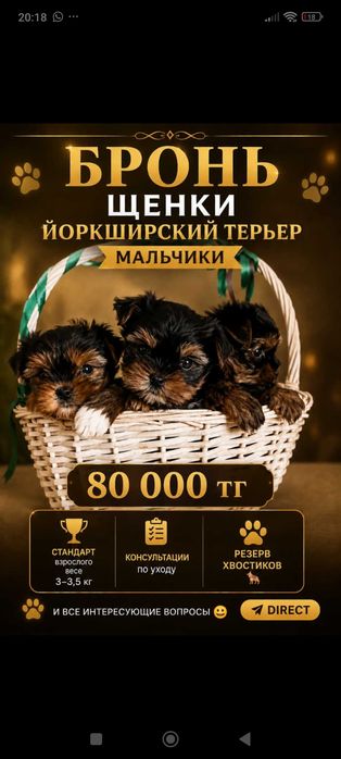 Щенки Йоркширский терьер