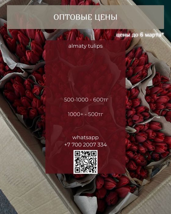 Тюльпаны высшего качества