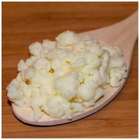 Ciuperca de kefir (tibetana)