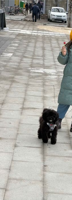 Продаю в связи с переездом