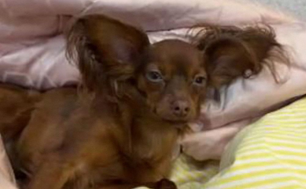 Красавец мужчина .