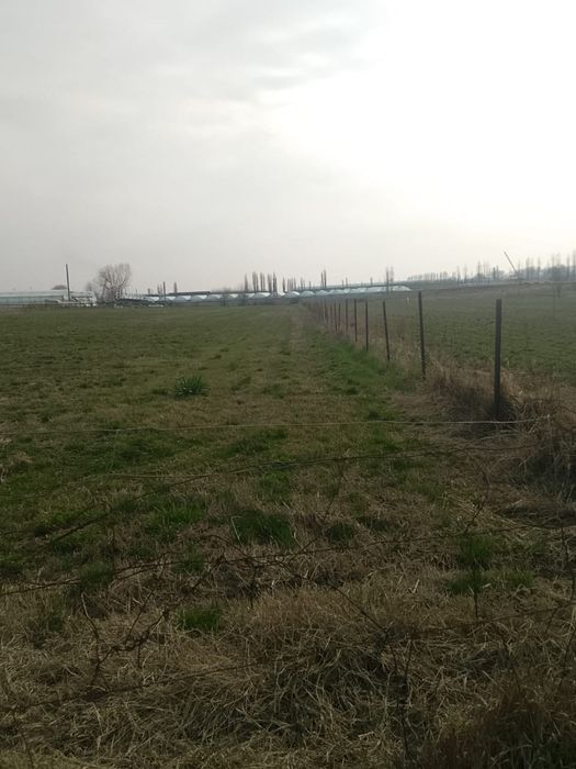 Продается Земля